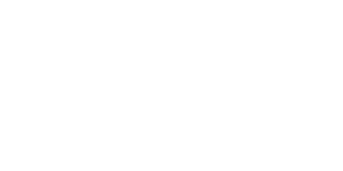 Vip Taxi